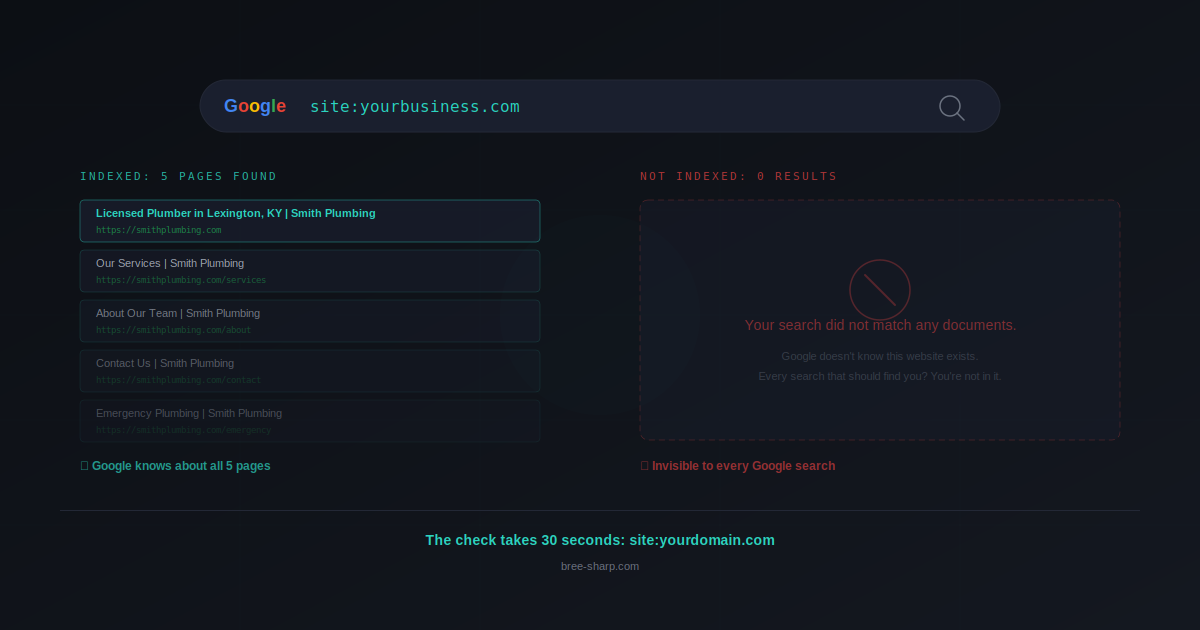 Google site search showing indexed pages versus zero results