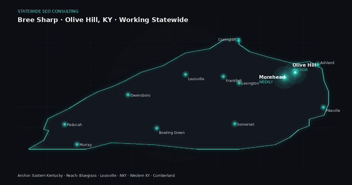 Local SEO build for a Central Kentucky home services client — geo-targeted landing pages and schema across three counties